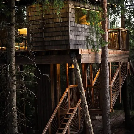 - Luxury Treehouse With Modern Amenities 펜션 Lootvina