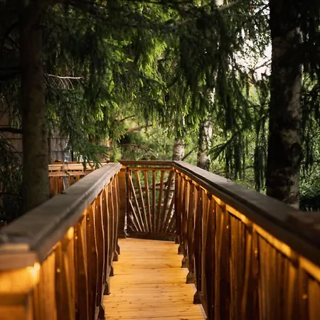 - Luxury Treehouse With Modern Amenities 펜션 Lootvina